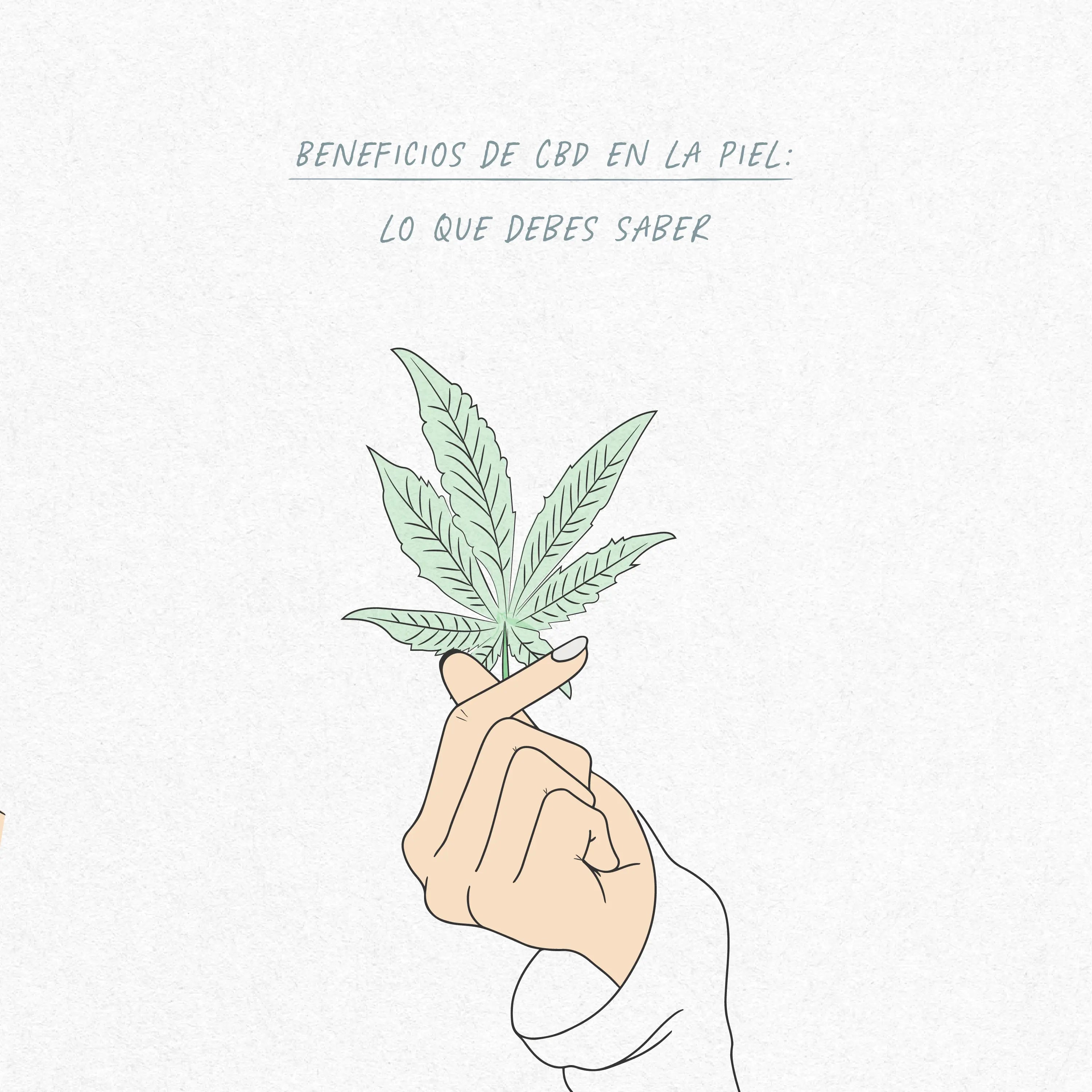 Beneficios de CBD en la piel: lo que debes saber.