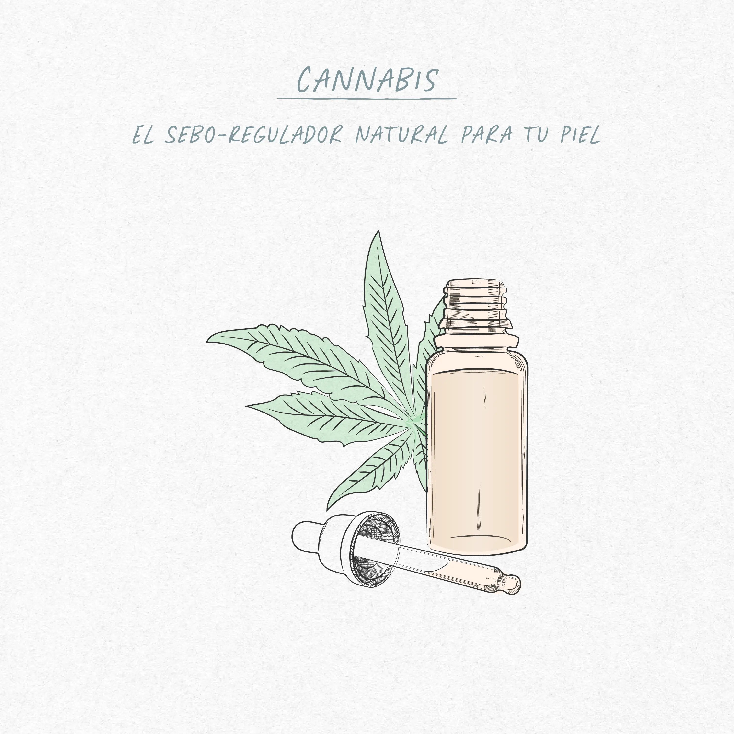 Cannabis: El Sebo-Regulador Natural para tu Piel